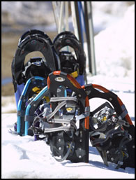 Snowshoes ready for a day of fun!